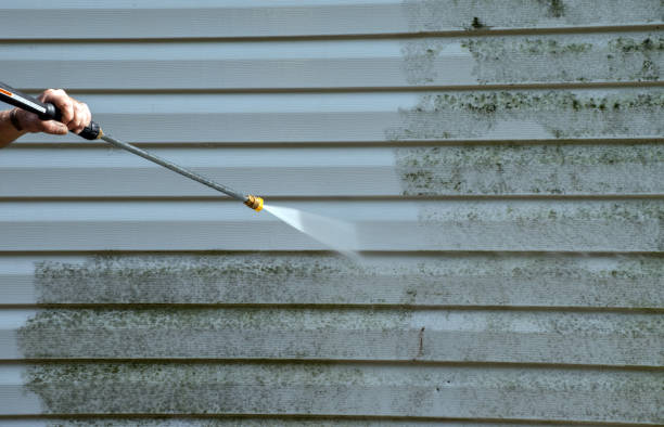 Professional Pressure Washing in Pine Hills, CA