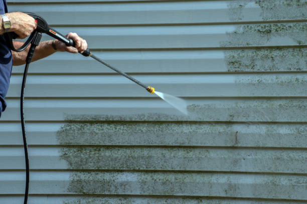 Best Exterior Home Cleaning  in Pine Hills, CA
